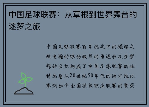 中国足球联赛:从草根到世界舞台的逐梦之旅